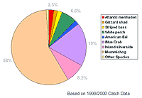 The Current Fishery of the Lower Passaic River
